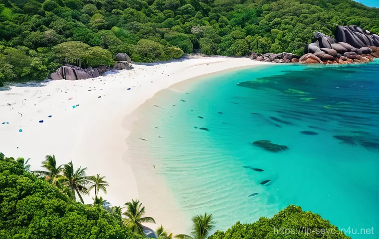 세이셸 해양 쓰레기 문제 - **Prompt:** A breathtaking aerial view of a pristine, untouched Seychelles beach, featuring brillian...