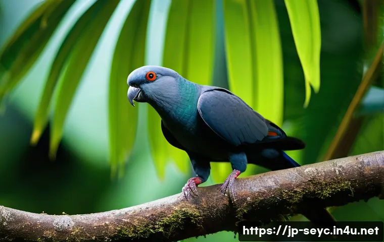 세이셸 열대 우림 탐험 관련 이미지 1